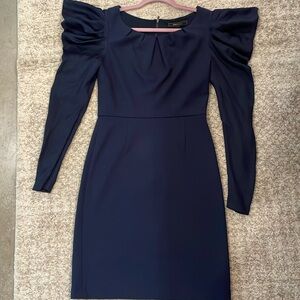 Bcbg Max Azria navy blue cocktail dress, silk sleeves (sz 4)